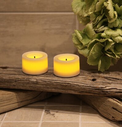 Värmeljus LED från Star Trading på drivved med grön växt