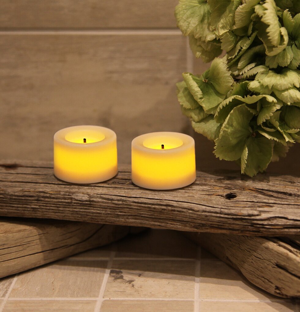 Värmeljus LED från Star Trading på drivved med grön växt