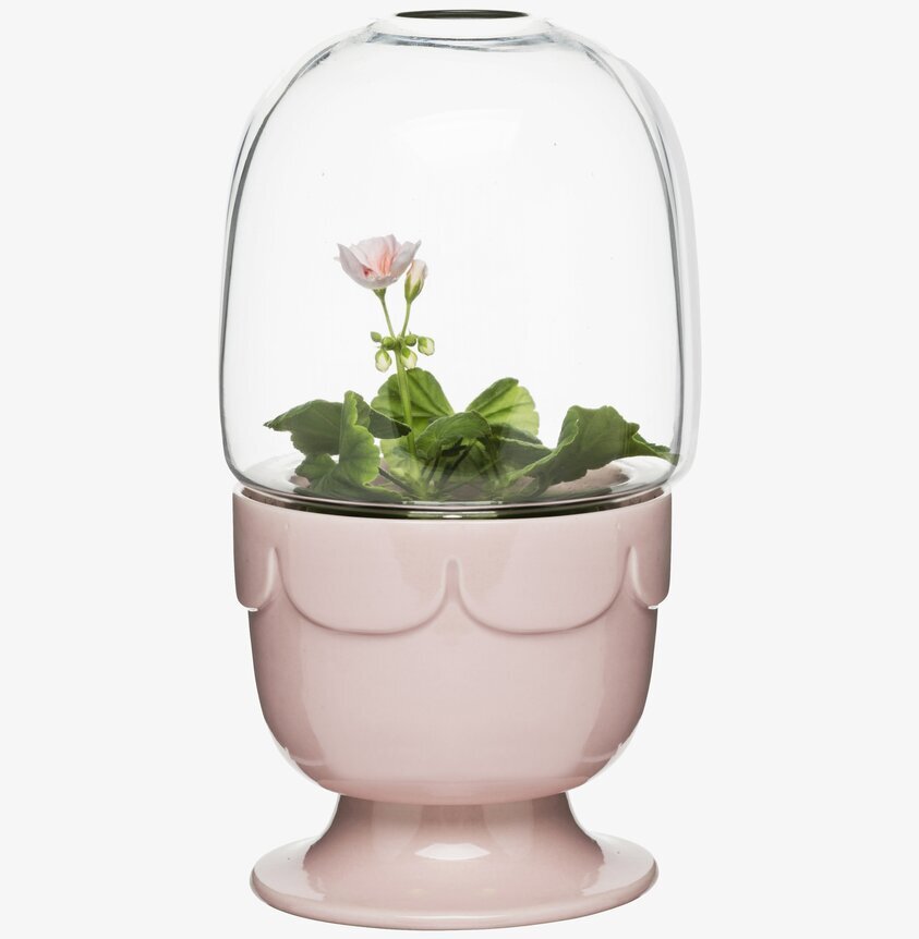 Green Drivhus På Fot Pelargoniarosa från Sagaform i keramik