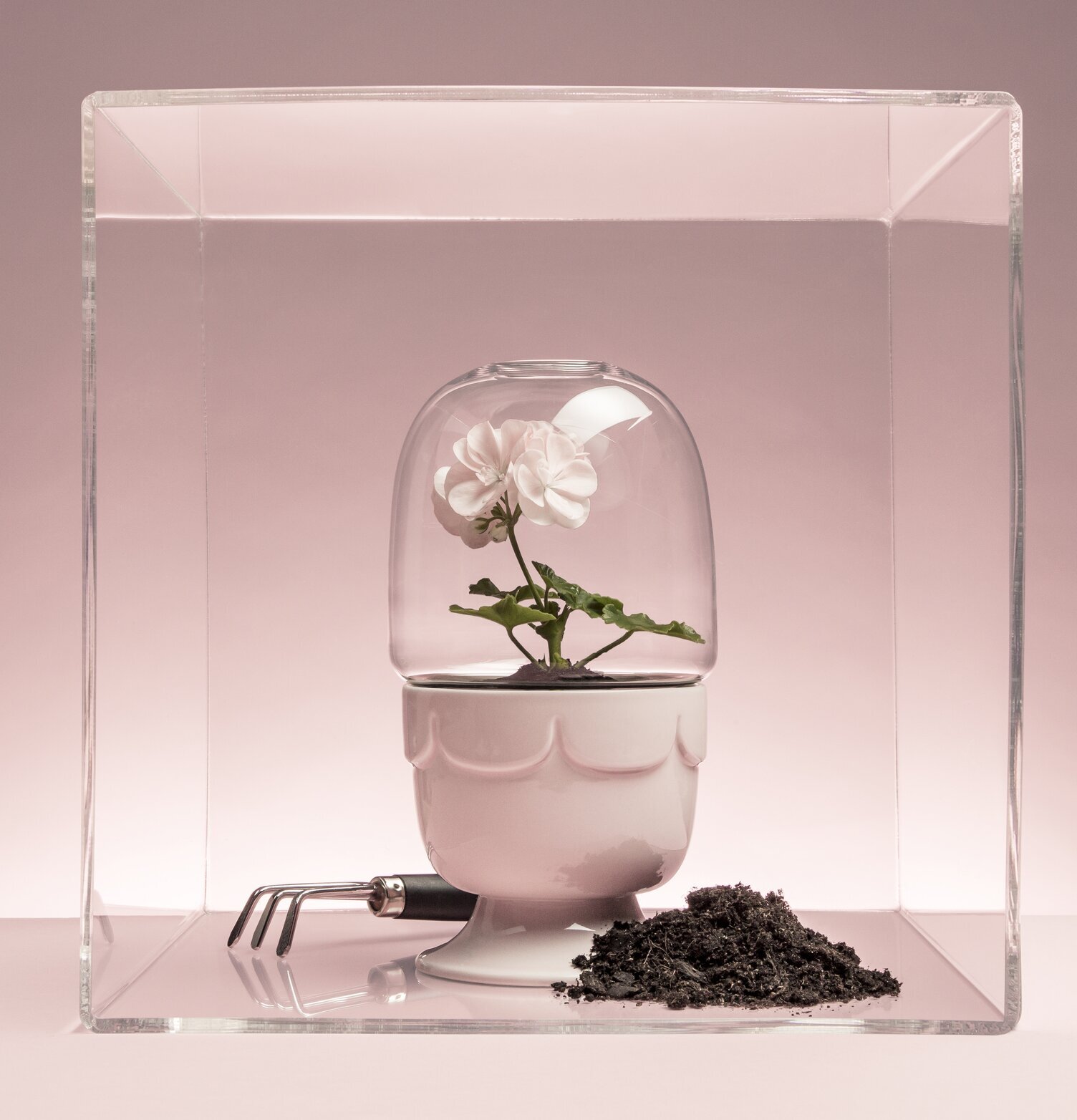 Green Drivhus På Fot Pelargoniarosa från Sagaform i närbild