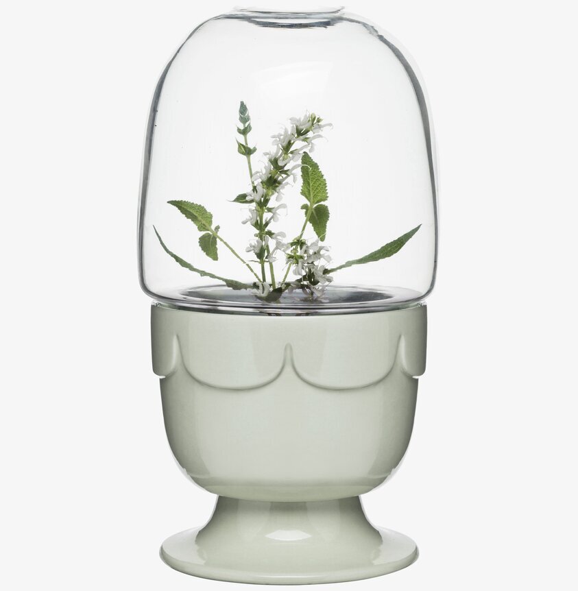 Green Drivhus På Fot Salviagrön från Sagaform med växt