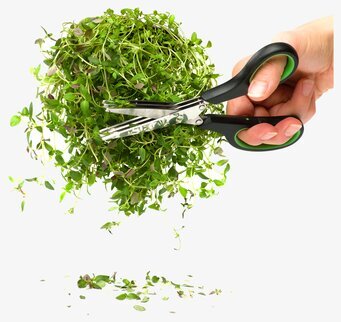 Krydd/Örtsax från Sagaform klipper färska örter effektivt