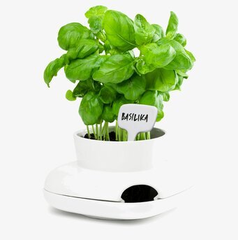 Herbs Hold Örtkruka från Sagaform med frodig basilika