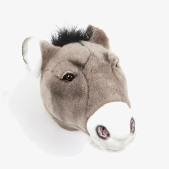 Djurhuvud Åsna från Brigbys - realistisk väggdekoration