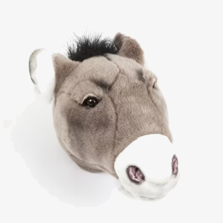 Djurhuvud Åsna från Brigbys - realistisk väggdekoration