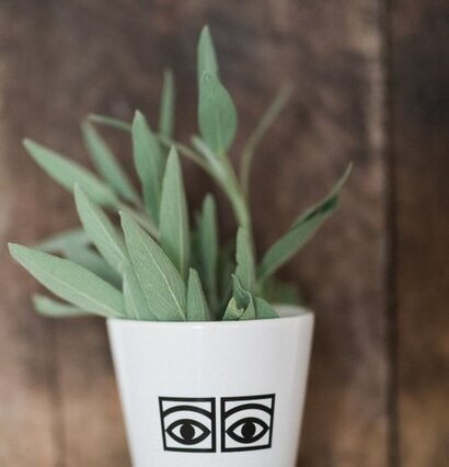 Mugg Ögon Cacao 2-Pack från Olle Eksell fylld med växter