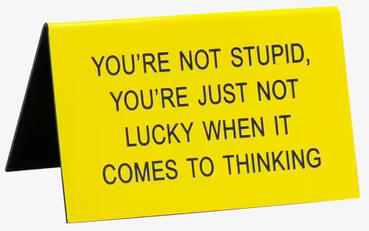 You Are Not Stupid - Funny Office Sign från Americana Classic Vintage