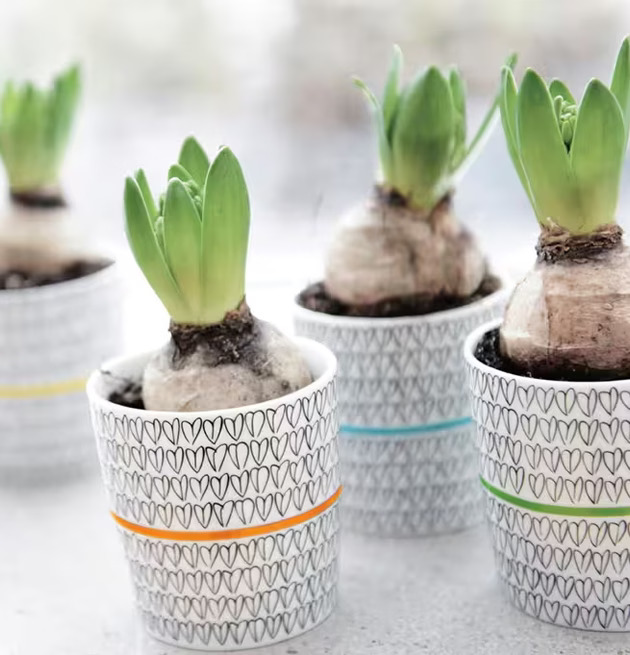 Kopp Blue Heart 2-Pack från Mette Ditmer används som krukor