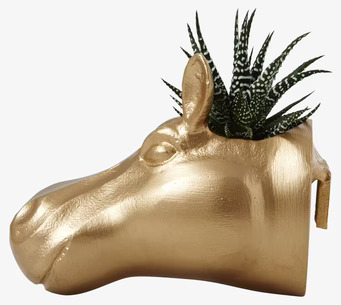 Hängande Kruka Flodhäst från Rice med guldig yta och växt