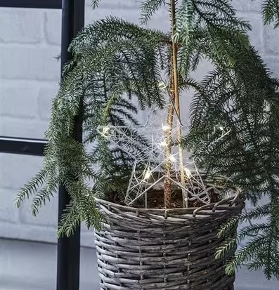 Gardener Stjärna Grå från Markslöjd i korg med litet träd