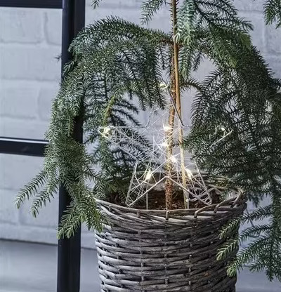 Gardener Stjärna Grå från Markslöjd i korg med litet träd