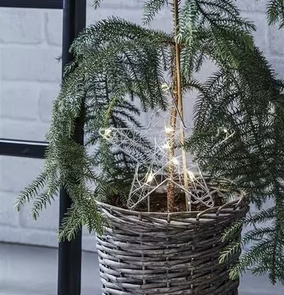 Gardener Stjärna Grå från Markslöjd i korg med litet träd