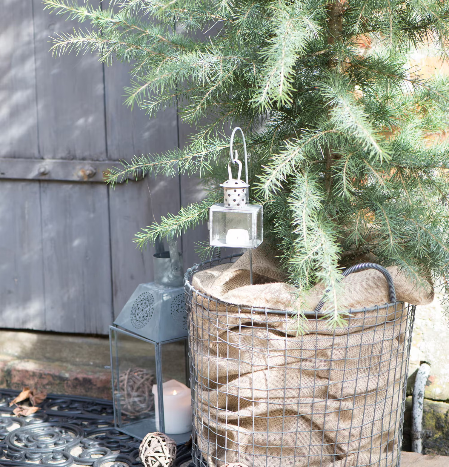 Lykthållare Grå från IB Laursen hänger från ett barrträd