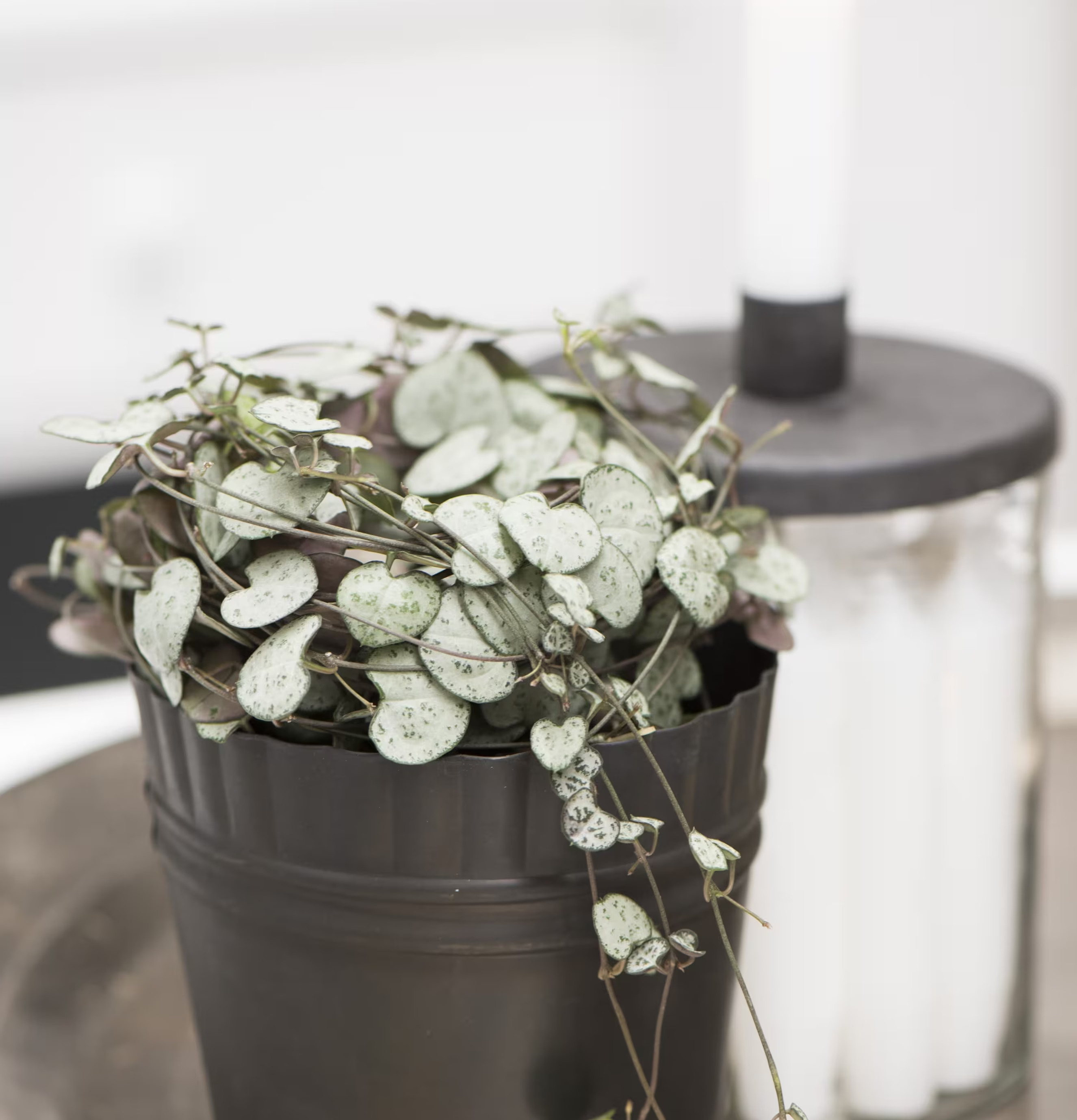 Ljusstake Glasburk från IB Laursen med mörkgrått metallock