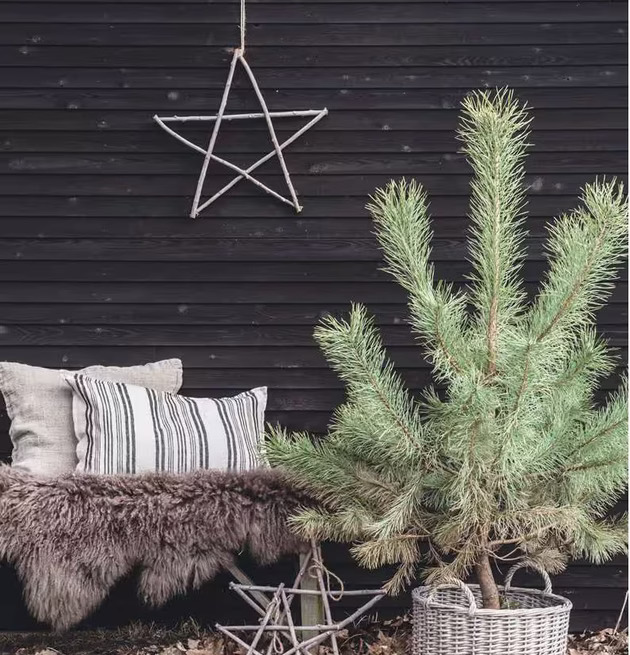 Trästjärna Pinnar S från IB Laursen på mörk trävägg