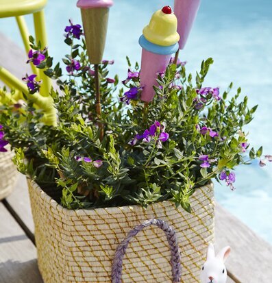 Trädgårdsljus Ice Cream från Rice i en korg med växter