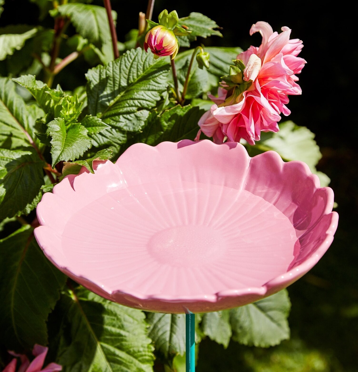 Fågelbad Keramik Gul från Rice i rosa med metallstöd