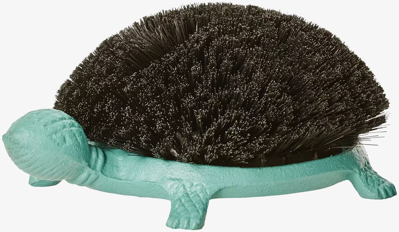 Fotskrapa Sköldpadda Grön från Rice med svart borst