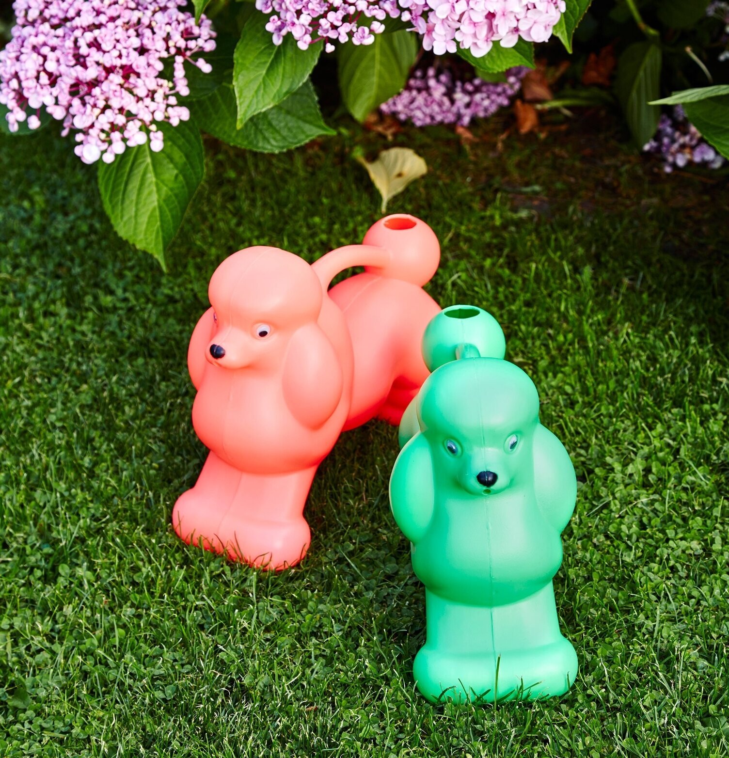 Vattenkanna Pudel Korall från Rice i en trädgårdsmiljö