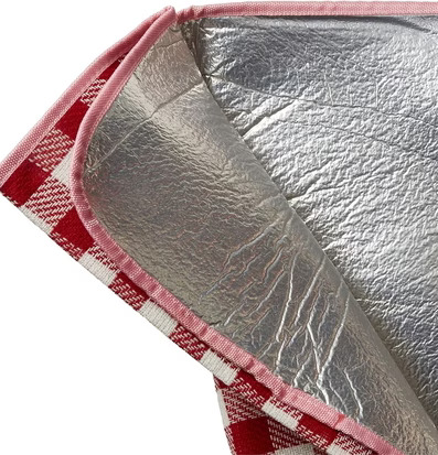 Picknickfilt Röd/Blå från Rice med röd-och-vit-rutigt mönster