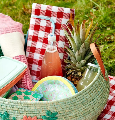 Picknickfilt Röd/Blå från Rice på gräs med picknickkorg