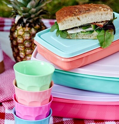 Bild av färgglada picknickprodukter och tropisk känsla